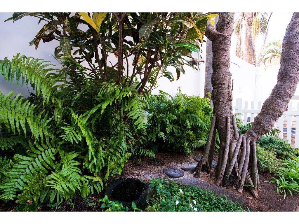 Bed and Breakfast Flamingo Rocks Durban Exterior foto